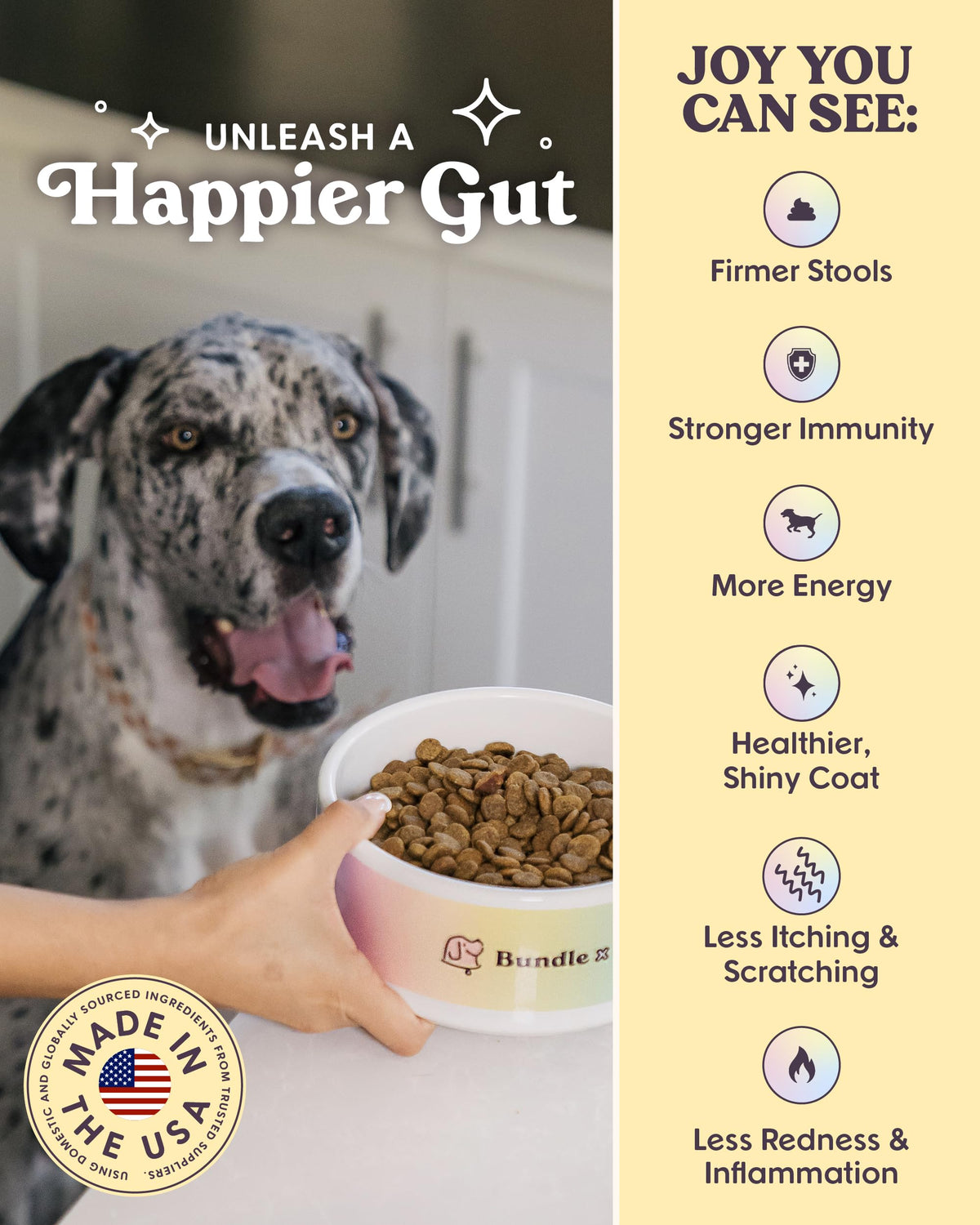 Bundle x Joy Superfood Dry Dog Food