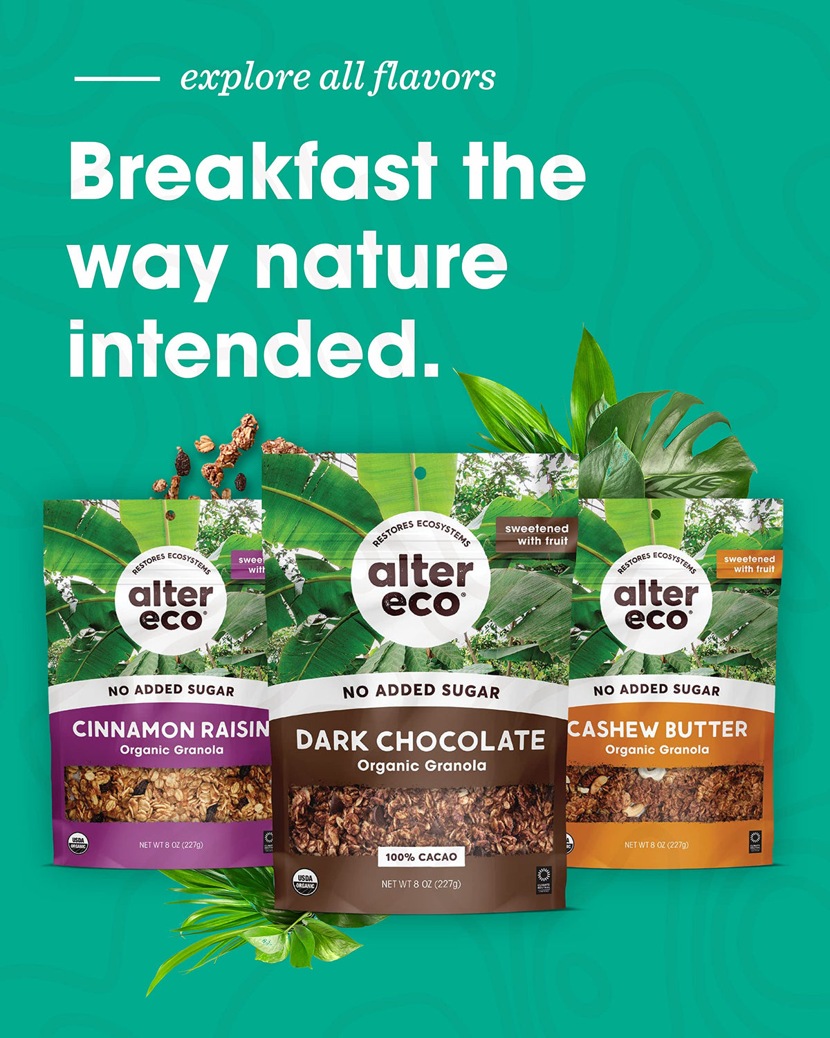 Alter Eco Dark Chocolate Granola, Healthy, Organic Breakfast & Snack, Naturally Sweetened with Fruit, Vegan, No Artificial Sugars or Additives, Regeneratively-Farmed Oats (Dark Chocolate - 1 Pack)