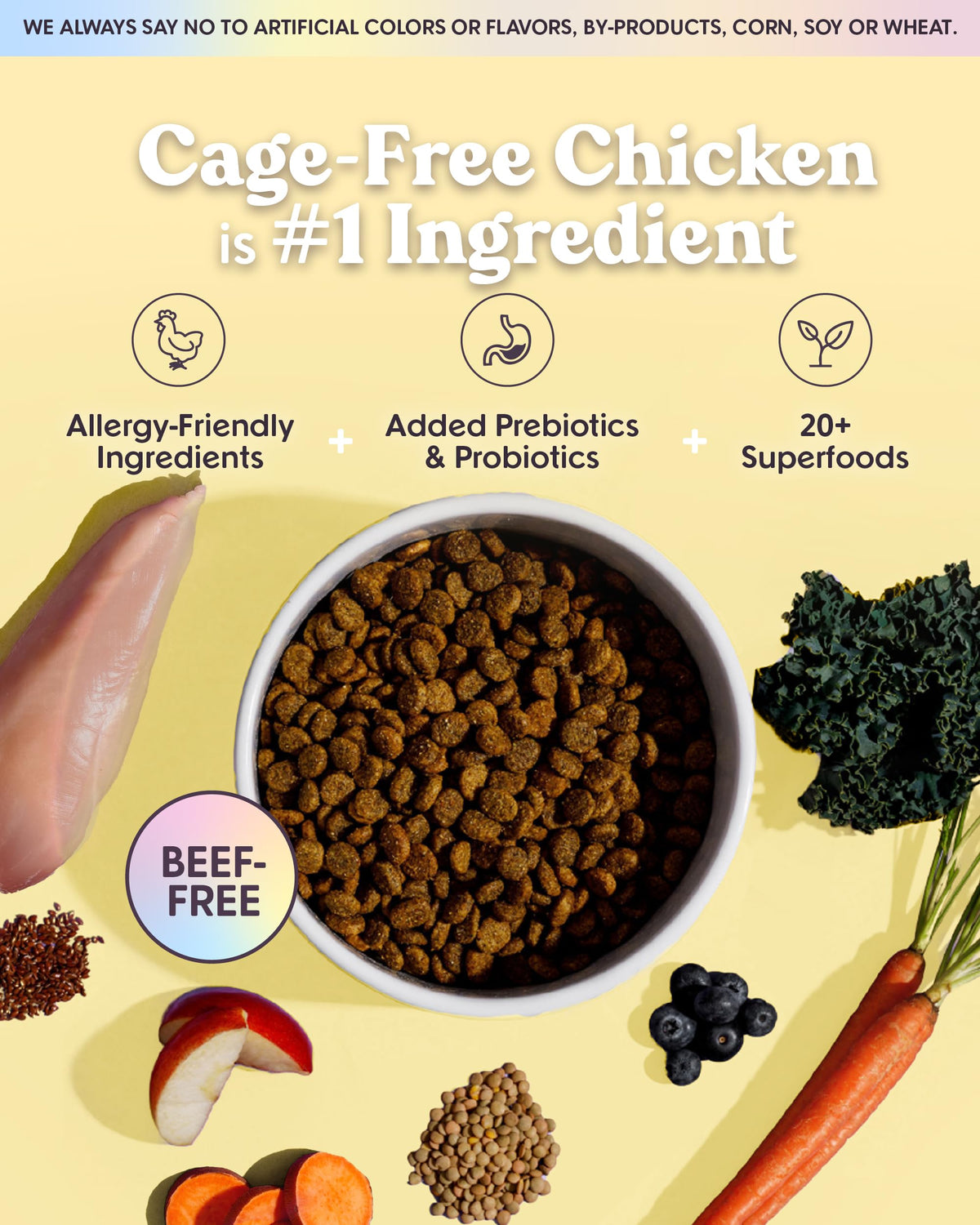 Bundle x Joy Superfood Dry Dog Food