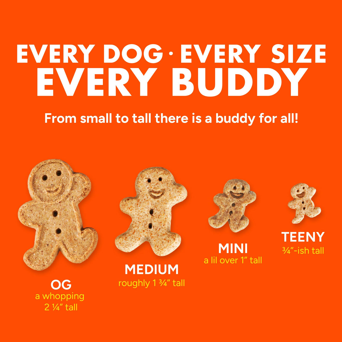 Buddy Biscuits Bacon & Cheese (6 Pack)